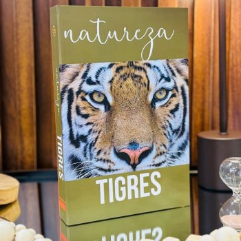 Livro Caixa Decorativo Tigres P – Organização Criativa e Decoração Temática