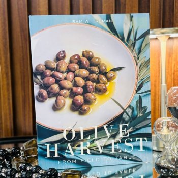 Livro Caixa Decorativo Olive Harvest G – Peça Decorativa Sofisticada para Organização e Ambientes Gourmet